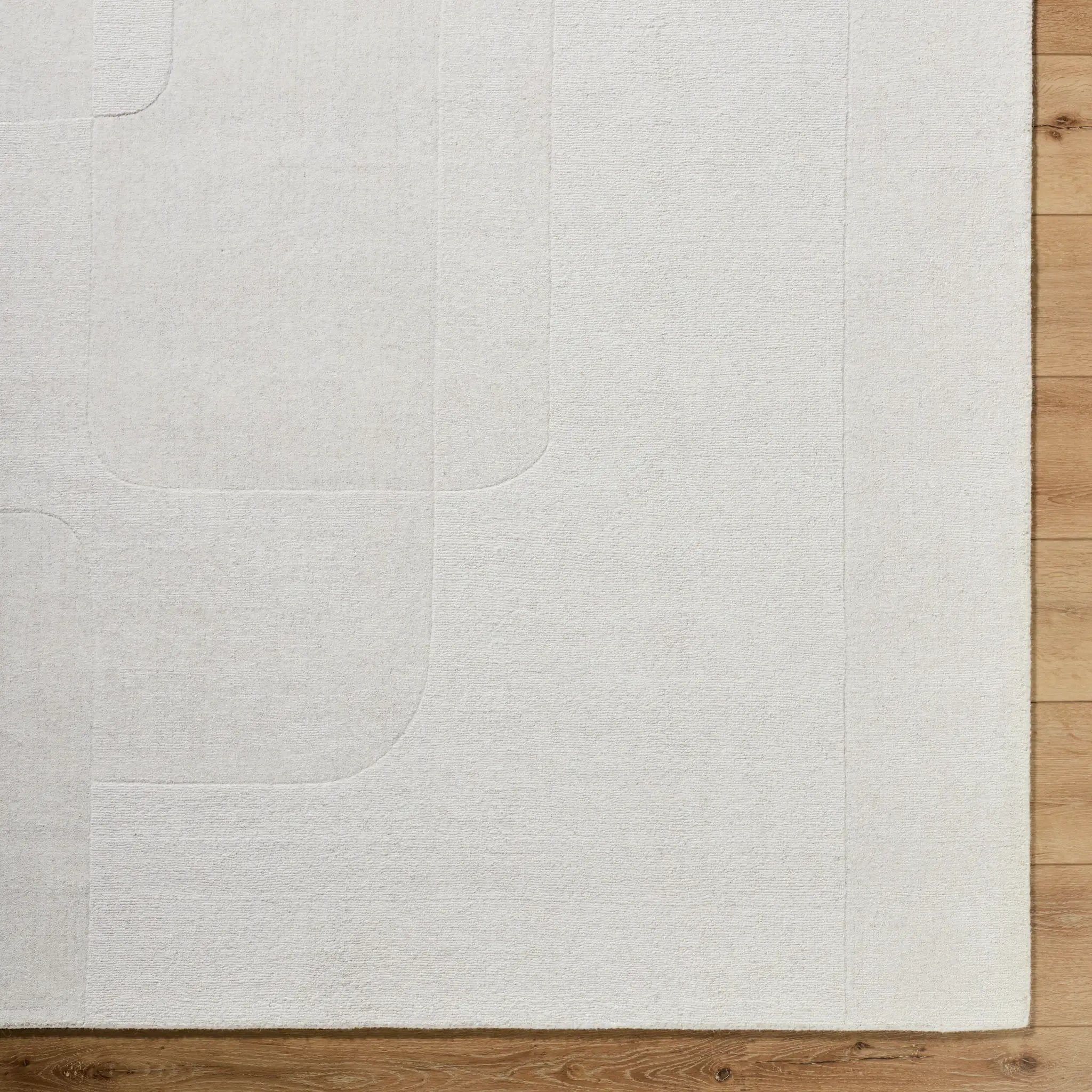 Taraash TRH-2309 Ivory Area Rug by LIVABLISS