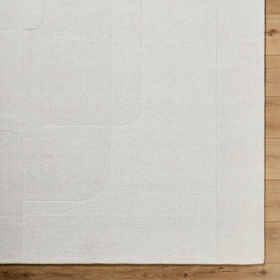 Surya Taraash TRH-2309 Ivory Area Rug by LIVABLISS
