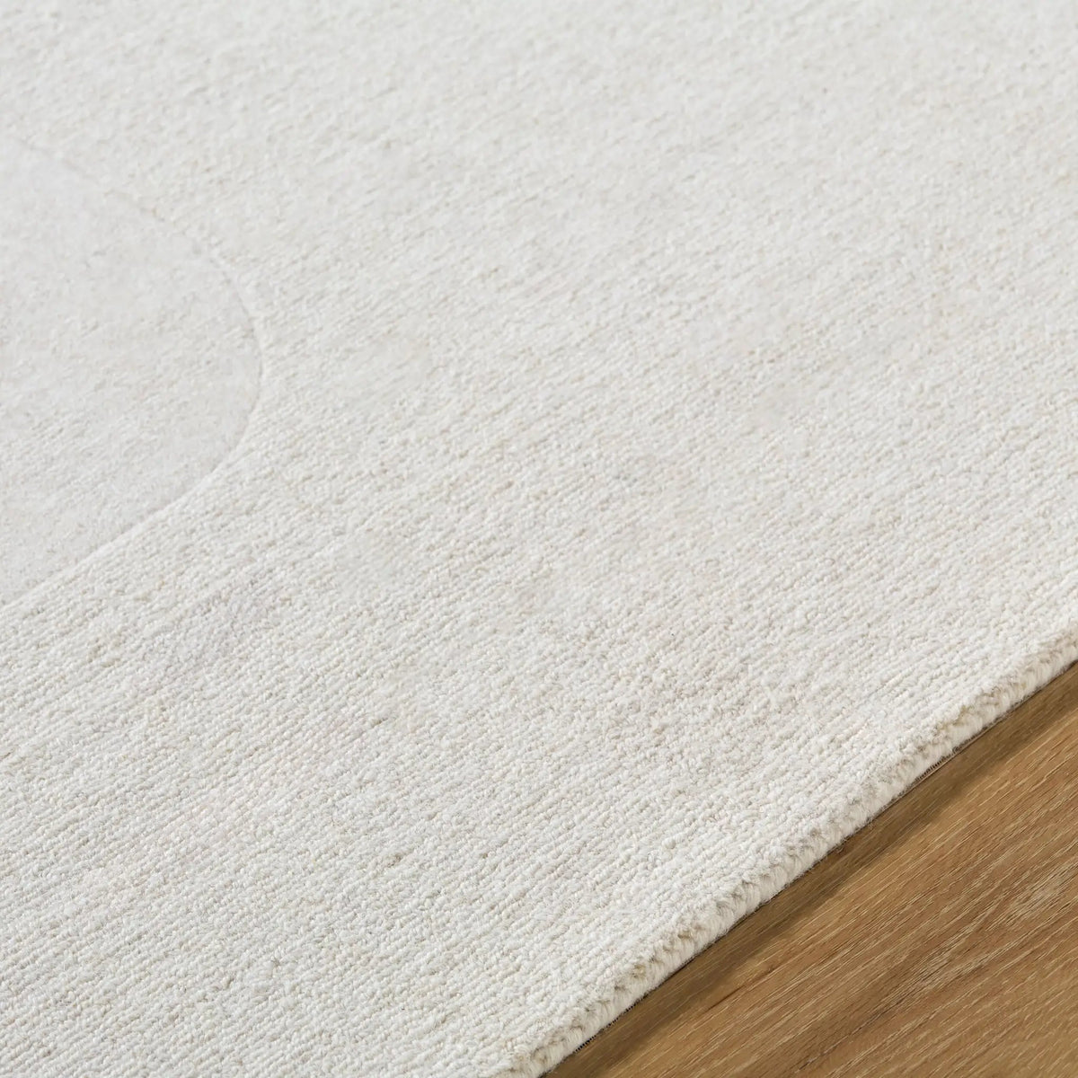Taraash TRH-2309 Ivory Area Rug by LIVABLISS