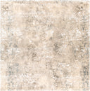 Surya Tuscany TUS-2304 Ivory Area Rug by LIVABLISS