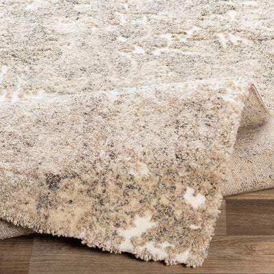 Surya Tuscany TUS-2304 Ivory Area Rug by LIVABLISS