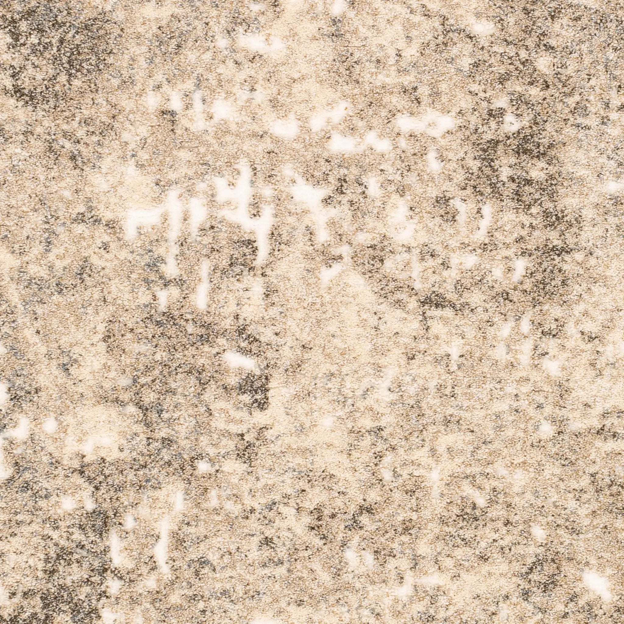 Tuscany TUS-2304 Ivory Area Rug by LIVABLISS