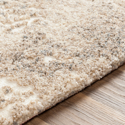 Surya Tuscany TUS-2304 Ivory Area Rug by LIVABLISS