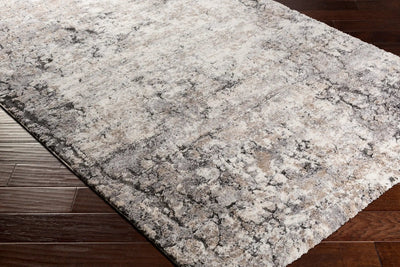 LIVABLISS Tuscany TUS-2311 Tan Area Rug