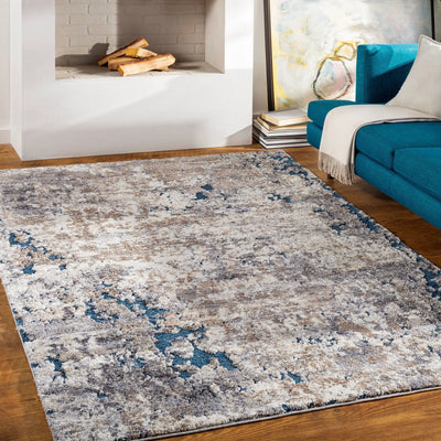 LIVABLISS Tuscany TUS-2313 Medium-Gray Area Rug