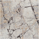 Surya Tuscany TUS-2314 Ivory Area Rug by LIVABLISS