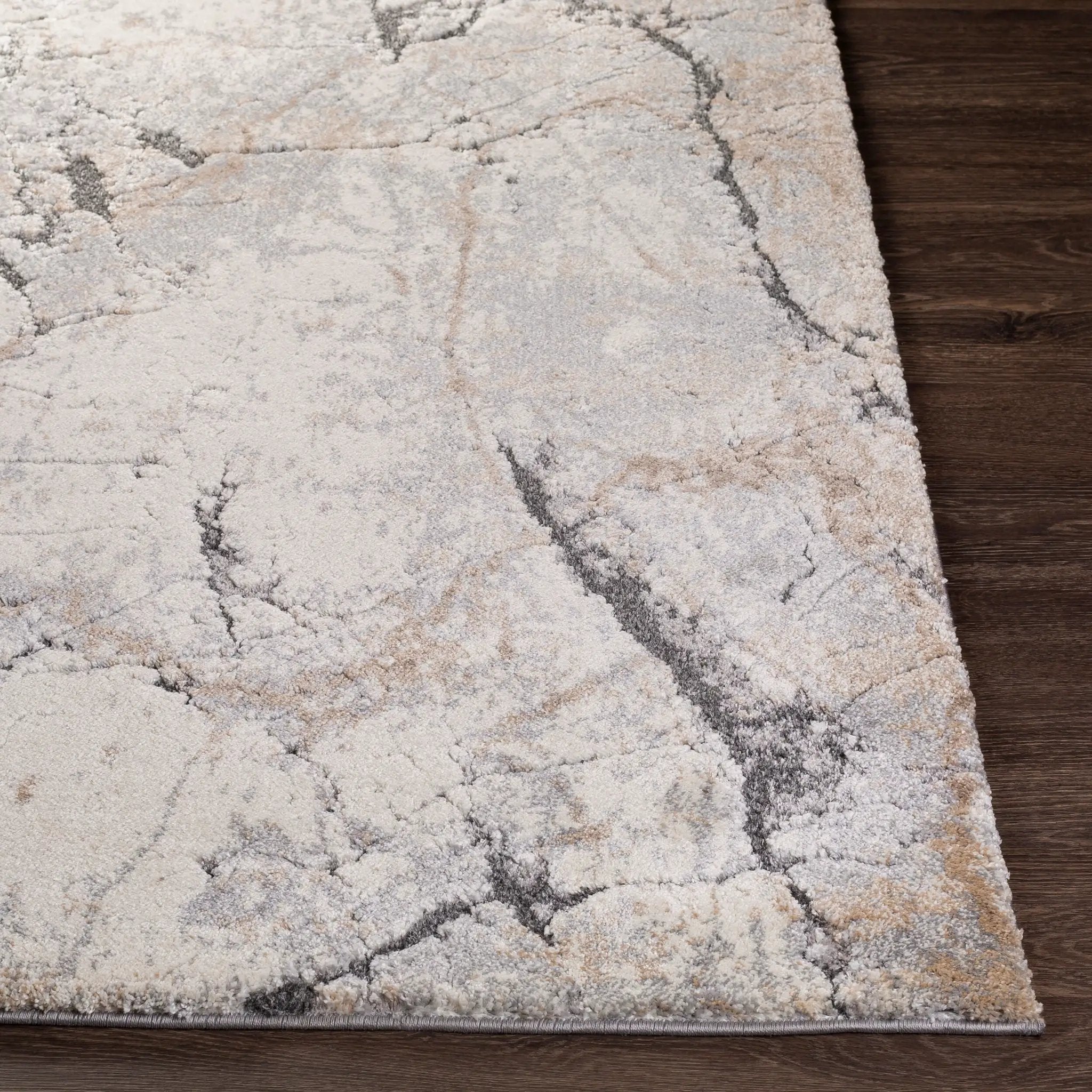 Tuscany TUS-2314 Ivory Area Rug by LIVABLISS