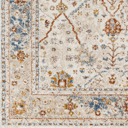 Surya Tuscany TUS-2330 Brown Area Rug by LIVABLISS