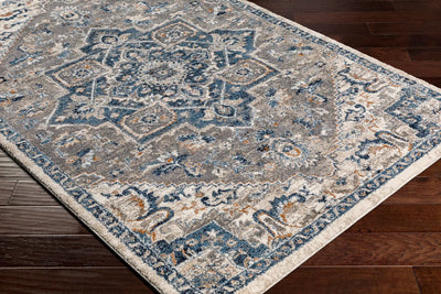 LIVABLISS Tuscany TUS-2335 Blue Area Rug