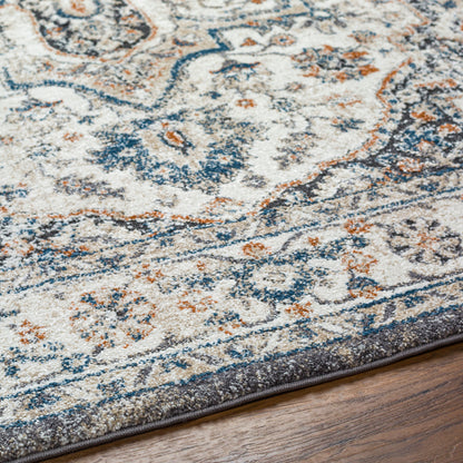 Surya Tuscany TUS-2343 Ivory Area Rug by LIVABLISS