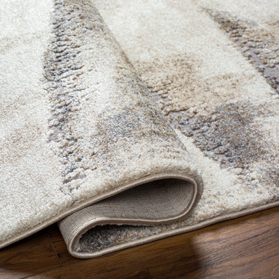 Surya Tuscany TUS-2345 Ivory Area Rug by LIVABLISS