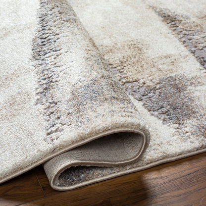 Surya Tuscany TUS-2345 Ivory Area Rug by LIVABLISS