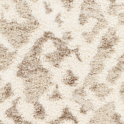 Surya Urban Shag USG-2323 Beige Area Rug by LIVABLISS