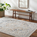 Surya Valet VAT-2306 Cream Area Rug by LIVABLISS