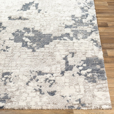 LIVABLISS Venice VNE-2300 Denim Area Rug