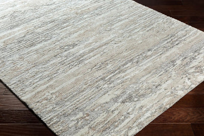 LIVABLISS Venice VNE-2302 Gray Area Rug