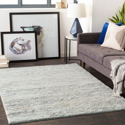 LIVABLISS Venice VNE-2302 Gray Area Rug