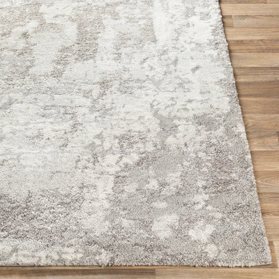 LIVABLISS Venice VNE-2305 Medium-Gray Area Rug