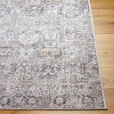 Surya Vinny VNY-2309 Light Gray Machine Washable Area Rug by LIVABLISS