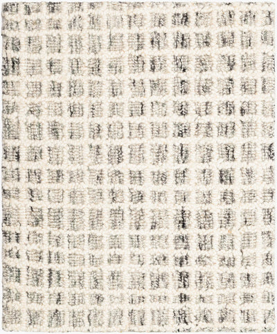 Andreas VVAN-2300 Ivory Area Rug by LIVABLISS