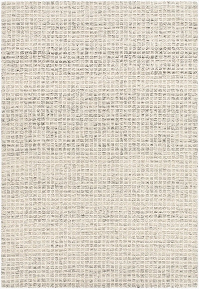 Andreas VVAN-2300 Ivory Area Rug by LIVABLISS