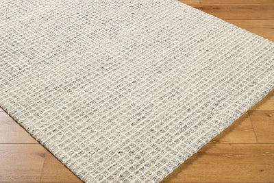 Andreas VVAN-2300 Ivory Area Rug by LIVABLISS