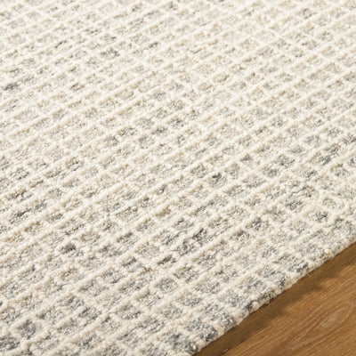 Andreas VVAN-2300 Ivory Area Rug by LIVABLISS