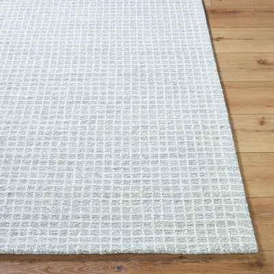 Andreas VVAN-2301 Powder Blue Area Rug by LIVABLISS