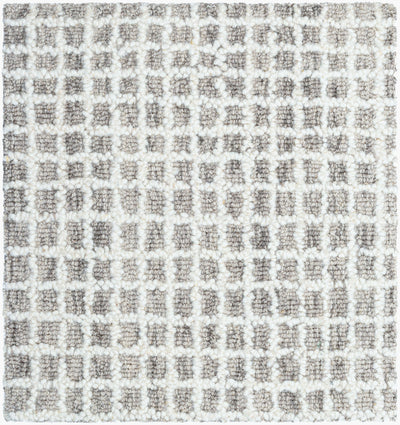 Livabliss Andreas VVAN-2302 Ivory Area Rug