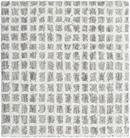 Andreas VVAN-2302 Ivory Area Rug