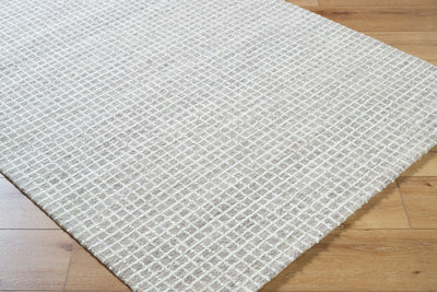 Livabliss Andreas VVAN-2302 Ivory Area Rug