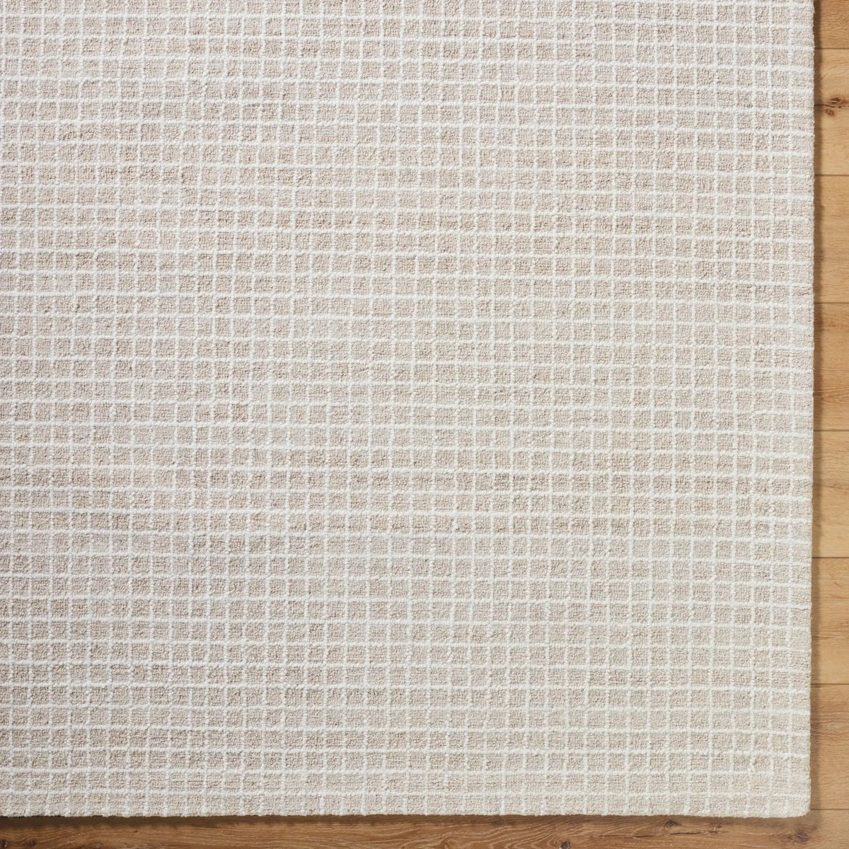 Andreas VVAN-2303 Ivory Area Rug by LIVABLISS