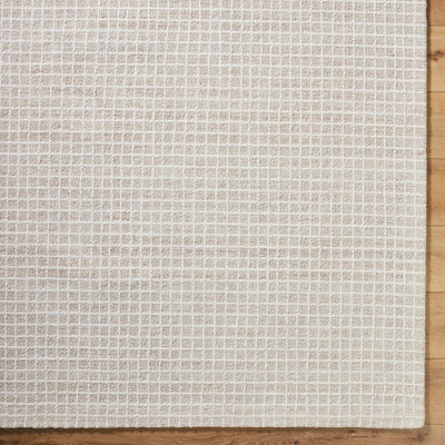 Andreas VVAN-2303 Ivory Area Rug by LIVABLISS