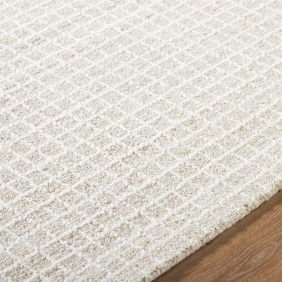 Andreas VVAN-2303 Ivory Area Rug by LIVABLISS