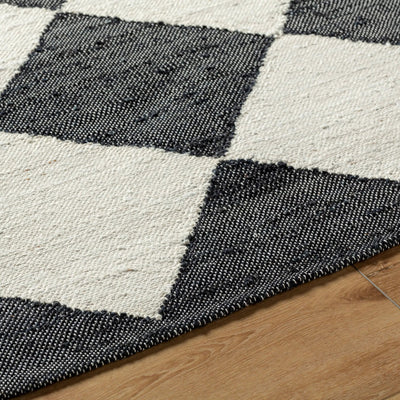 Antho VVAT-2300 Charcoal Area Rug by LIVABLISS