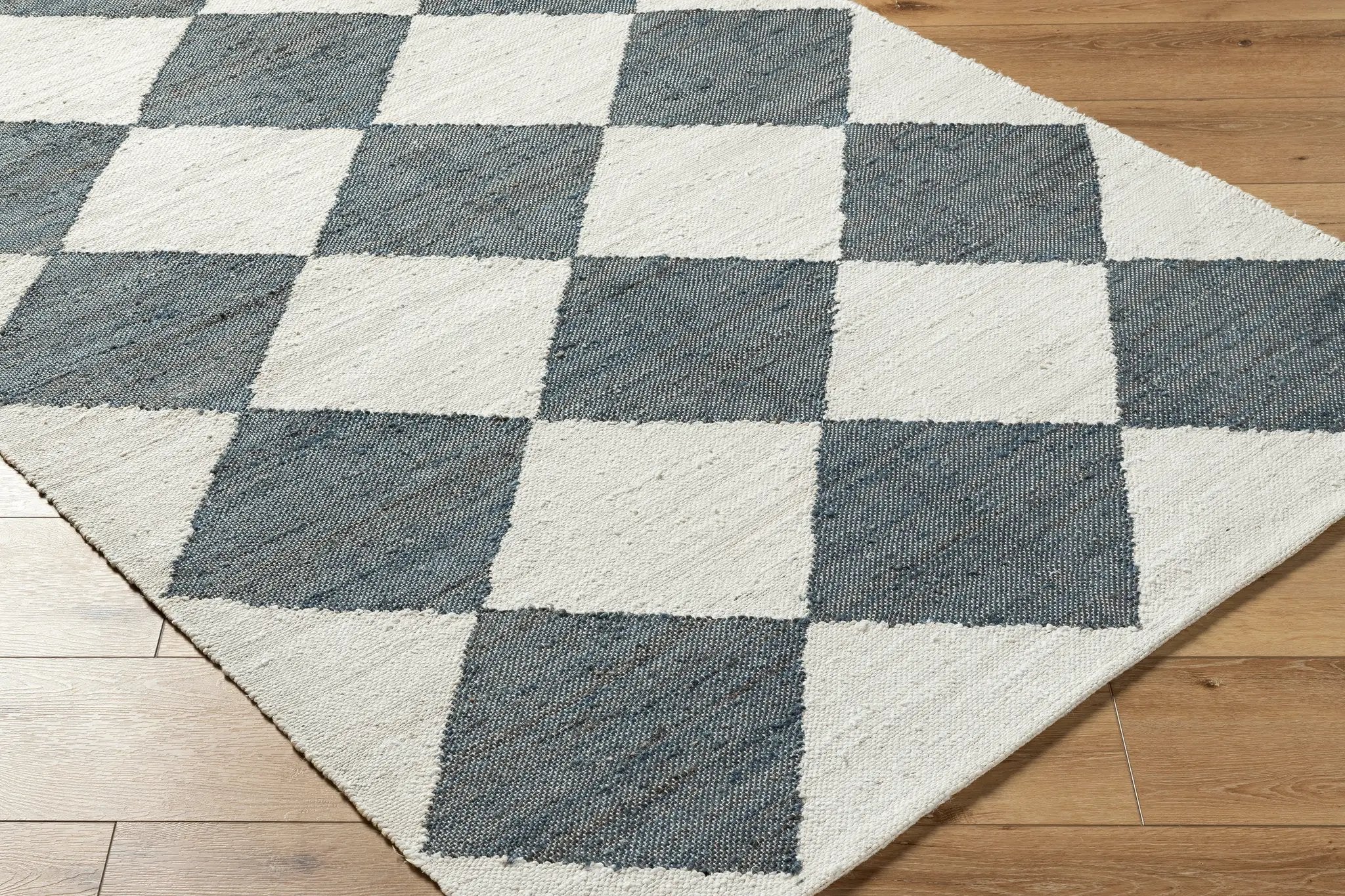 Antho VVAT-2302 Ivory Area Rug by LIVABLISS
