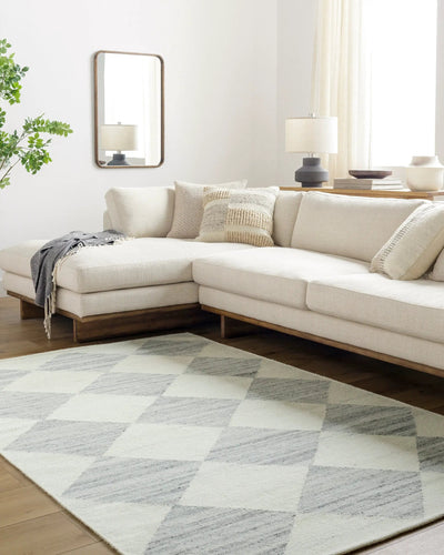 Antho VVAT-2303 Slate Gray Area Rug by LIVABLISS
