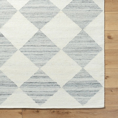 Antho VVAT-2303 Slate Gray Area Rug by LIVABLISS