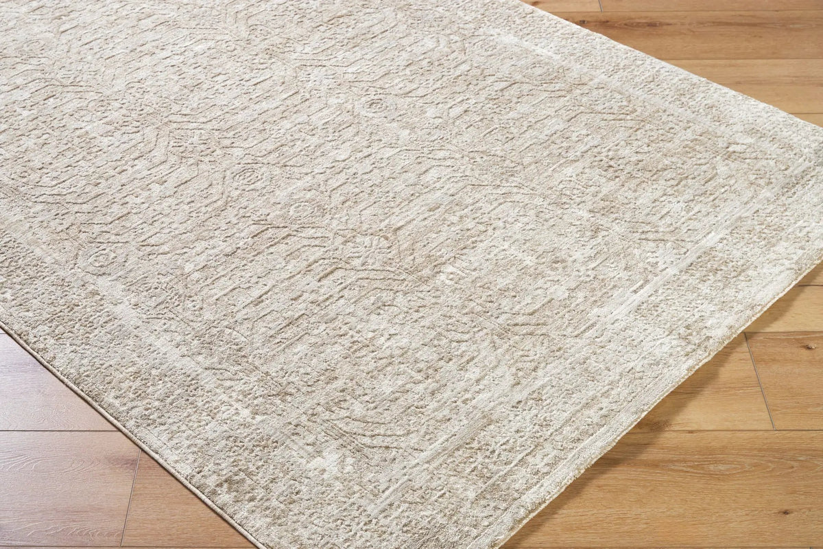 Beth VVBE-2301 Cream Area Rug by LIVABLISS