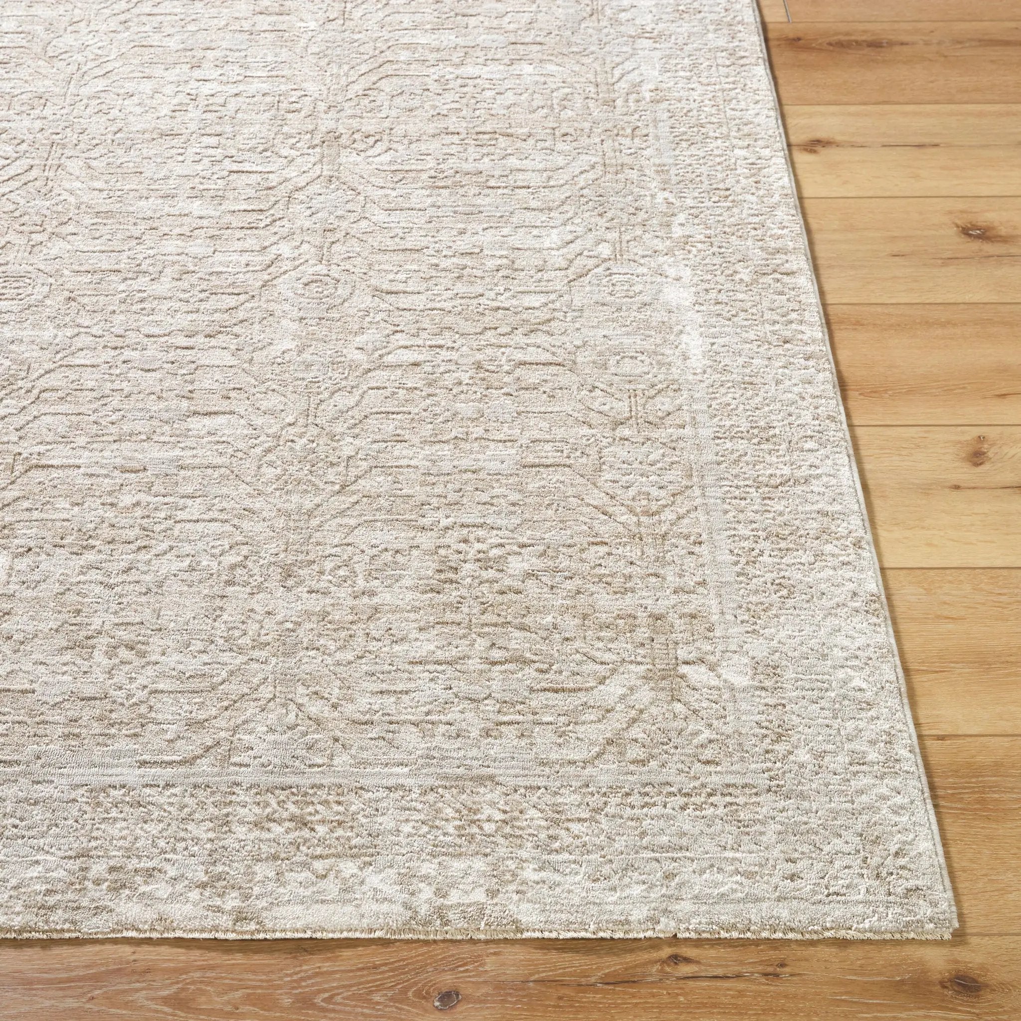 Beth VVBE-2301 Cream Area Rug by LIVABLISS