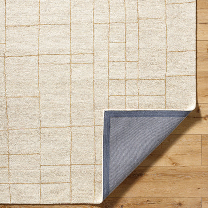 Vivir Ira VVIR-2301 Ivory Area Rug by LIVABLISS