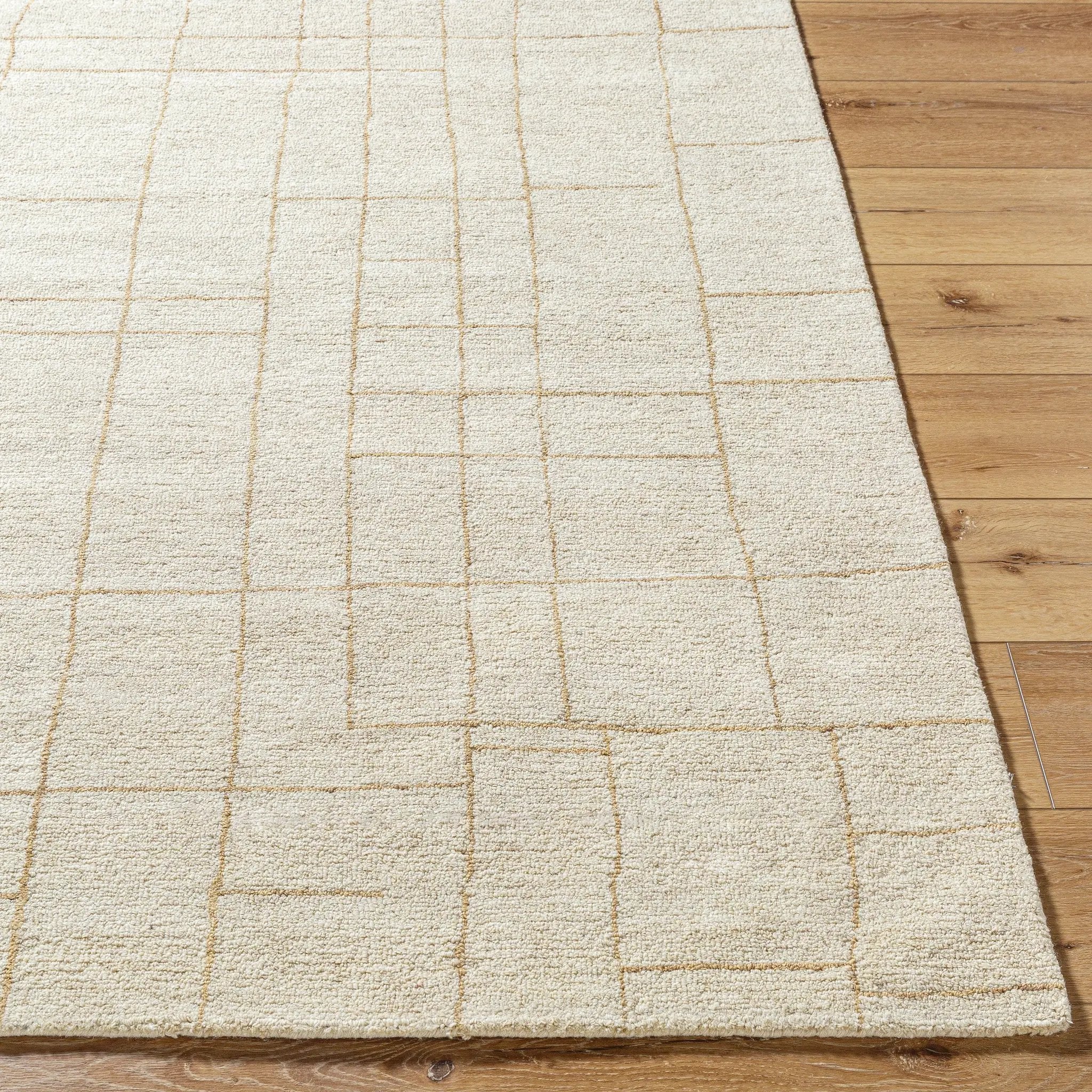 Ira VVIR-2301 Ivory Area Rug by LIVABLISS