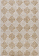 Vivir Kaya VVKA-2300 Machine Woven Area Rug by LIVABLISS