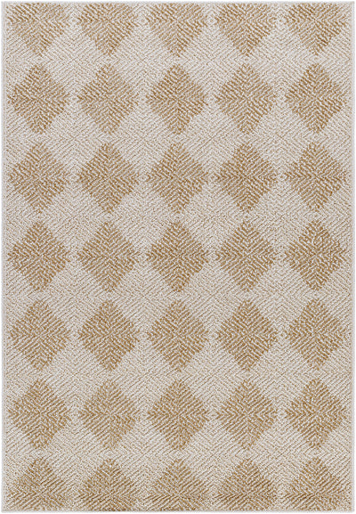 Vivir Kaya VVKA-2300 Ivory Area Rug by LIVABLISS