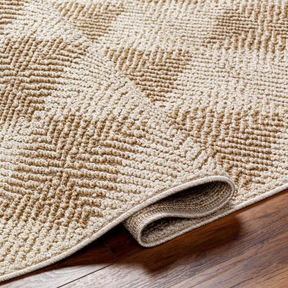 Vivir Kaya VVKA-2300 Ivory Area Rug by LIVABLISS