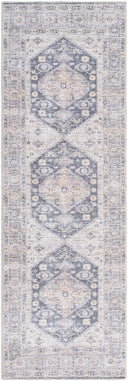 Vivir Lorelai VVLO-2306 Machine Woven Machine Washable Area Rug by LIVABLISS