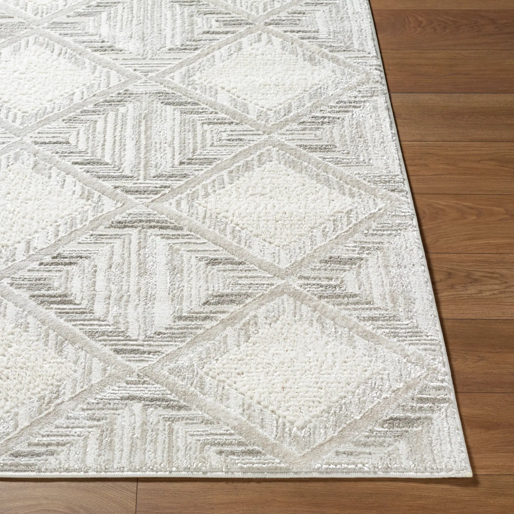 Wolly WOY-2302 Ivory Area Rug by LIVABLISS