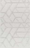 Surya West Palm WPM-2305 Gray Area Rug by LIVABLISS