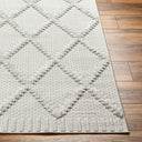 Surya West Palm WPM-2306 Gray Area Rug by LIVABLISS