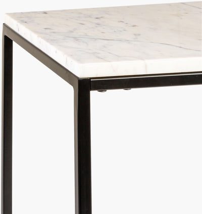 Surya Aryaa YAA-010 Furniture End Table by LIVABLISS